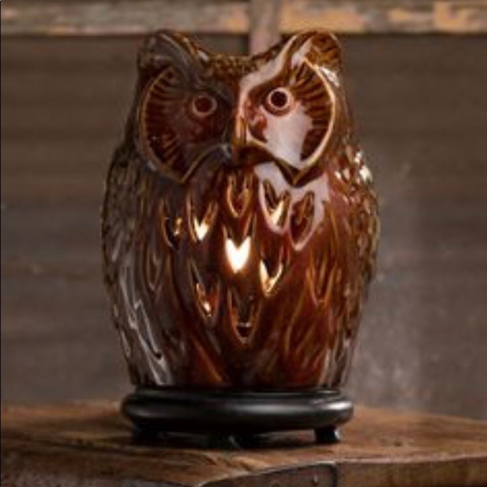 Pink Zebra Owl Shade